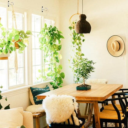 2Pack 2.5Inch Ceiling Hooks for Hanging Plant, Hanger for Indoor and Outdoor Plant Pots Holder, Wall Hook for Planters, Flower Basket, Wind Chimes, Lanterns, Lights, Bird Feeders, Home Decor-White