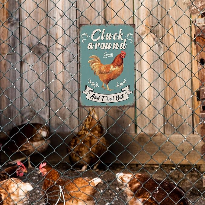 Putuo Decor Funny Chicken Cluck Around And Find Out Tin Sign Funny Chicken Sign Farm Chicken Coop For Kicthen Garden Decor Vintage Metal Tin Sign Wall Plaque For Yard Outdoor Decor 12x8 Inch