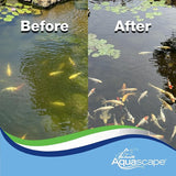 Aquascape Algaecide for Pond, Waterfall, and Water Features, 32-Ounce, 96024