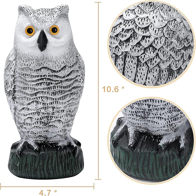 KKY 2 Packs Fake Plastic Owl Bird, Garden owl Statue,Can Repel Pigeons Away from The House, Garden, Pool. (3pc Black)