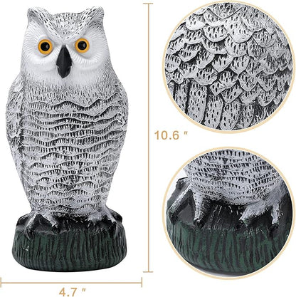 KKY 2 Packs Fake Plastic Owl Bird, Garden owl Statue,Can Repel Pigeons Away from The House, Garden, Pool. (3pc Black)