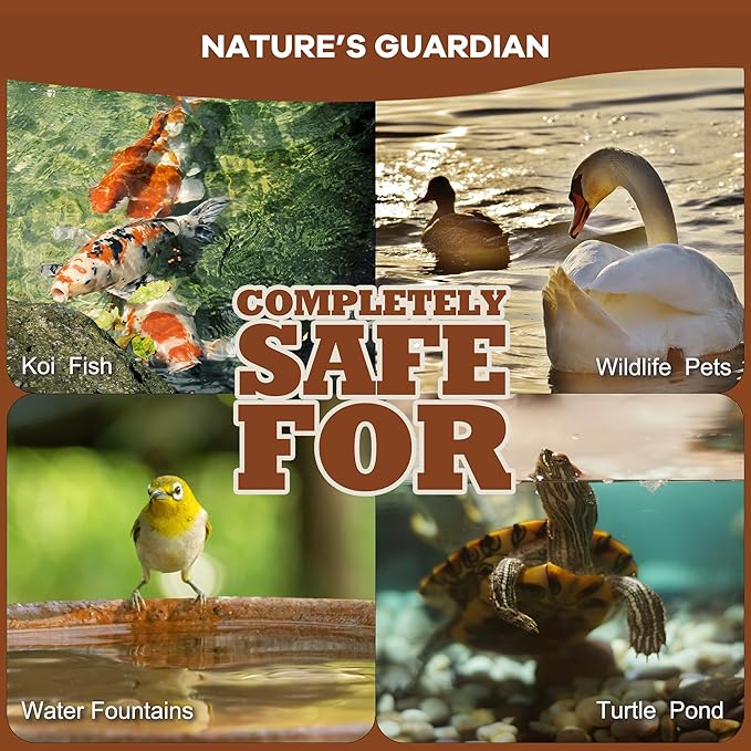 Dr. Raifya's Muck Reducer–Natural Pond Sludge & Water Fountain Clarifier, Beneficial Bacteria Safe for Fish & Wildlife, Remove Muck in Koi Ponds, Bird Baths, Fountains & Turtle Ponds, Easy to Use–1 LB