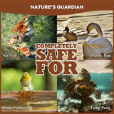 Dr.Raifya's Muck Reducer - 8 OZ - Natural Pond Sludge Solution, Effectively Removes Muck in Koi Pond, Bird Baths, Fountains & Turtle Ponds, Beneficial Bacteria Safe for Fish & Wildlife, Easy to Use