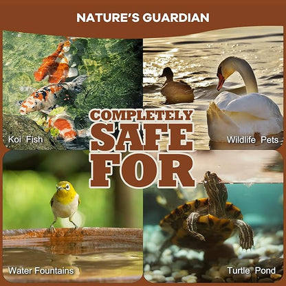 Dr.Raifya's Muck Reducer - 8 OZ - Natural Pond Sludge Solution, Effectively Removes Muck in Koi Pond, Bird Baths, Fountains & Turtle Ponds, Beneficial Bacteria Safe for Fish & Wildlife, Easy to Use