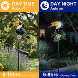 Romart Solar Stake Lights Outdoor Waterproof, Toucan Solar Garden Path Light with Rotating Light-Up Eyes, Decorative Yard Lawn Landscape Decor