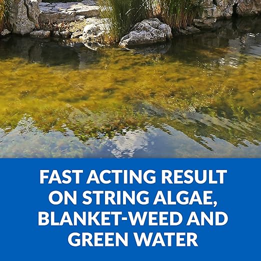 CrystalClear Algae D-Solv Pond Algae Control, Fast-Acting EPA Registered Algaecide, Use in Fountains & Outdoor Ponds Containing Koi & Other Fish, Treats 115,200 Gallons, 2.5 Gallons