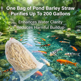 MAQIHAN Barley Straw for Ponds – Pond Media for Outdoor Fish Pond & Koi Pond, Natural Pond Filtration Accessory, Supports Water Balance for Garden Ponds & Water Features, 10 Mesh Filter Bags Included