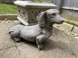 Standing Dachshund Stone Statue | Reconstituted Stone Puppy Dog Outdoor Garden Ornament Decoration