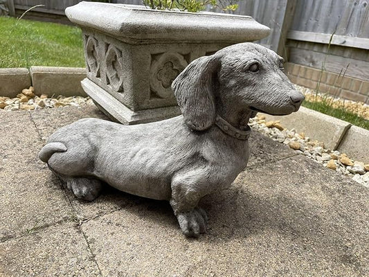 Standing Dachshund Stone Statue | Reconstituted Stone Puppy Dog Outdoor Garden Ornament Decoration