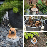 Groundhog Garden Statue 5.2 Inch - Outdoor Lawn Decor Animal Figurine for Yard Patio Flower Bed, Weather Resistant Resin Sculpture, Spring Gardening Gift