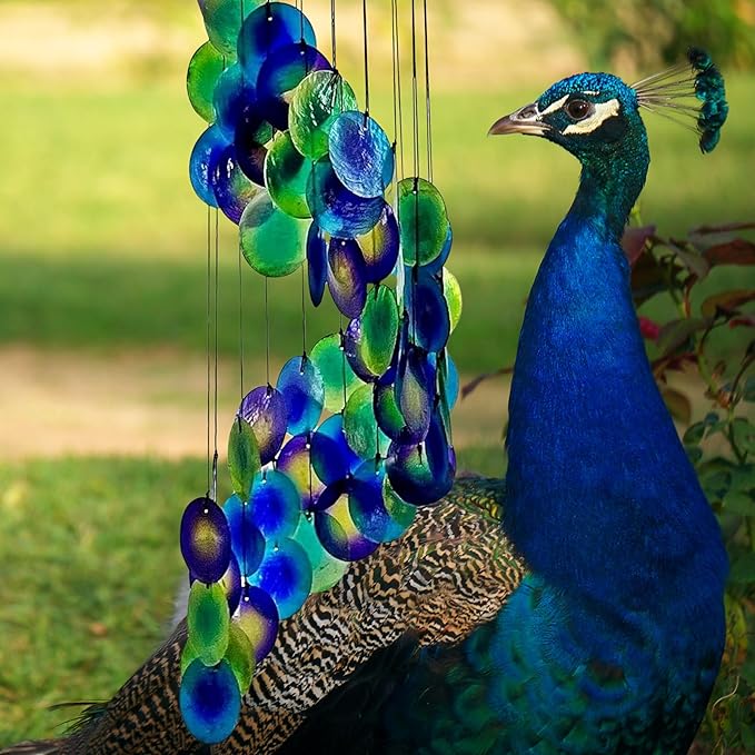 Bellaa 23332 Wind Chimes Capiz Sea Glass Shells Large 27 inch Outside Windchimes Peacock Home Decor Outdoor Garden Patio Yard Lawn Unique Gifts for Mom Grandma Woman Sympathy Memorial Remembrance