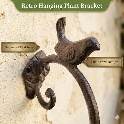 Z metnal Cast Iron Plant Hanger - Bird Rustic Wall Mounted Hanging Basket Holder for Outdoor Garden, Patio, Porch Decor - Heavy Duty Metal Hook Bracket, Black