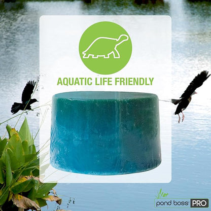 Pond BOSS CBBPR5 Pro Block Bacteria, 5-Pound