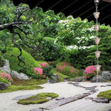 Copper Rain Chain 39in Japanese Movable Hanging Rain Chains with 5 Cups Building Protection Rustproof Decorative Outdoor Garden Catcher, Décor de pelouse