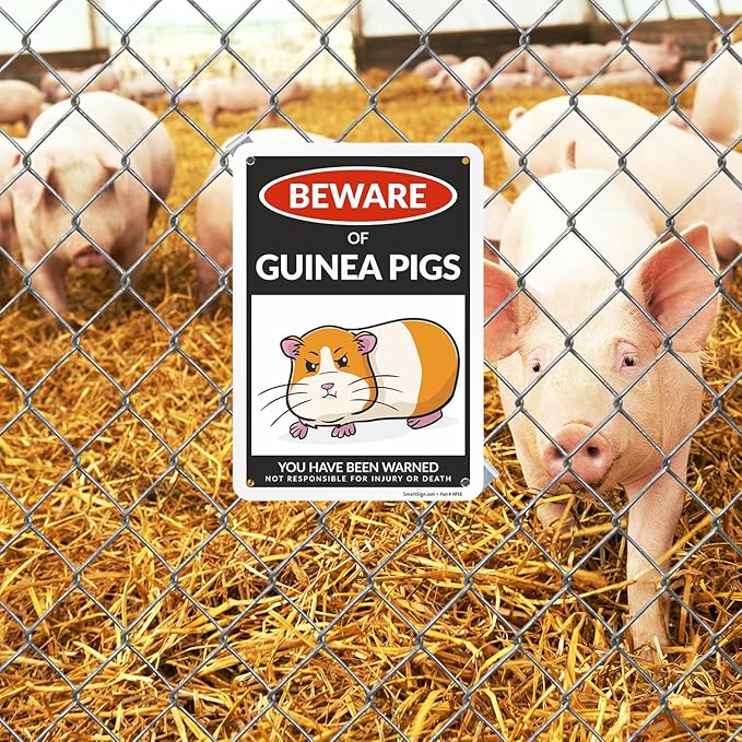 SmartSign Funny Beware Of Guinea Pigs Warning Sign - 10"x7", 40 mil Laminated Rust-free Aluminum - Metal Signs for Wall Decor, Outdoors, Patio, Cafe - Guinea Pigs Theme Gag Gift, Made in USA