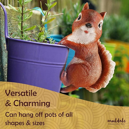 Wrenbury Outdoor Red Squirrel Ornament for Yard and Garden – Sammy The Squirrel Statue for Garden - Decoration Figurine with Lifelike Detail – 6” Weatherproof