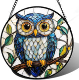 DASTOLL Stained Glass Window Hanging, Owl Gifts for Women Sun Catchers Diamond Glass Panel Hangings Birds Suncatcher Decor for Birthday for Women, Men, Wife, Aunt, and Mom 14.9x14.9 in