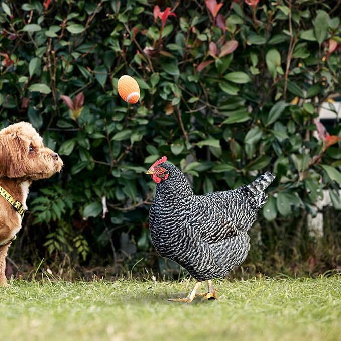 HANABASS 3pcs Acrylic Hen Chick Yard Arts Decorative Chicken Realistic Shaped Yard Lawn Stakes Garden Decorative Stakes