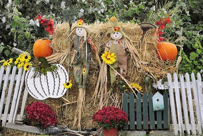 Morning View Pumpkin Garden Stakes Metal Yard Sign Fall Decor Outdoor Autumn Yard Stake Art Pumpkin Lawn Ornaments for Patio Porch Thanksgiving Halloween Harvest 30 Inches Tall Set of 2(White)