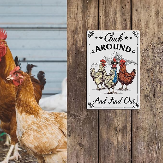 Putuo Decor Funny Chicken Sign Cluck Around And Find Out Metal Tin Sign Funny Wall Decor For Farmhouse Chicken Coop For Garden Decor Vintage Metal Tin Sign Plaque Outdoor Decor 12x8 Inch