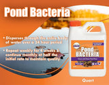 Pond Worx Pond Bacteria - Concentrated & Formulated for Large Ponds, Water Features - Safe for Koi - 32 Ounces & Treats up to a Quarter Acre Pond