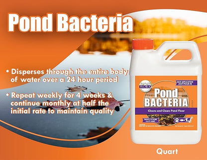 Pond Worx Pond Bacteria - Concentrated & Formulated for Large Ponds, Water Features - Safe for Koi - 32 Ounces & Treats up to a Quarter Acre Pond