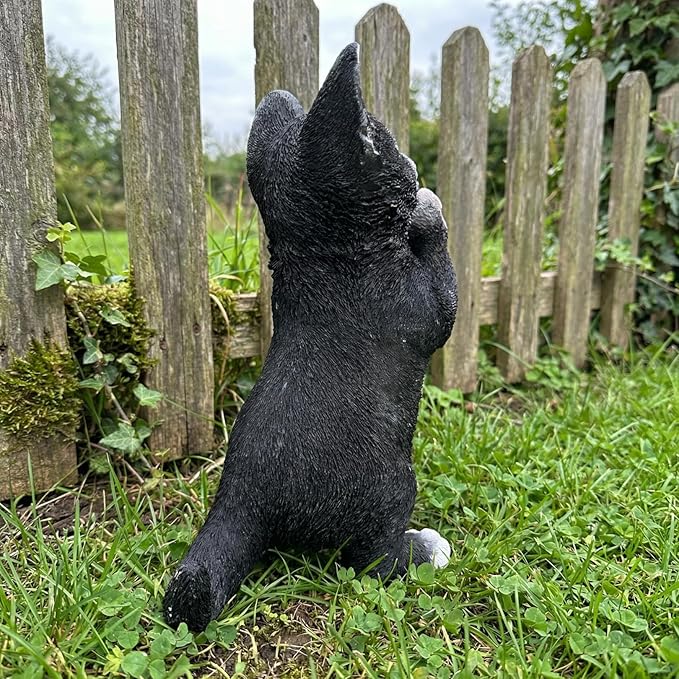 Elenon Cat Garden Statue Decorative for Yard, Praying Black & White Cat Figurines Home Lawn Decor, Patio Kitten Tuxedo Statues Pets Memorial Ornament for Cat Lovers