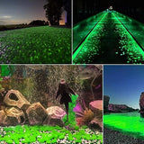 2.4Lbs 550 Pcs Glow in The Dark Garden Pebbles, Gardening Luminous Glow Stones Outdoor Decor Glowing Water Fish Tank Gravel (Green)