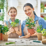 Cinrobiye 6 Pcs St Patrick’s Day Planter Stakes Metal Shamrock Garden Stakes Irish Table Centerpiece Lucky Clover Pot of Gold Leprechaun Decorations for Lawn Garden Farmhouse Decor