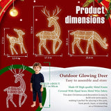 Pre-Lit Outdoor Christmas Deer Family Set, 2D Lighted Reindeer Decoration, 60 LED Warm White Lights, 3-Piece, Waterproof,Battery Powered for Indoor Outdoor Yard Display (A)