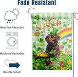 Chocolate Lab St Patricks Day Garden Flag Labrador Dog St Patrick's Day Yard Flags for Outside 12x18 Double Sided Buffalo Plaid Shamrock Flag Small Outdoor Rainbow St Patrick's Decor