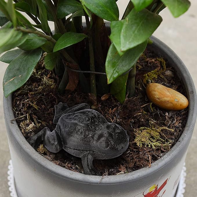 JUXYES Frog Cast Iron Key Hider - Outdoor Small Garden Statue & Indoor Decoration Box for Key, Jewelry & Trinkets