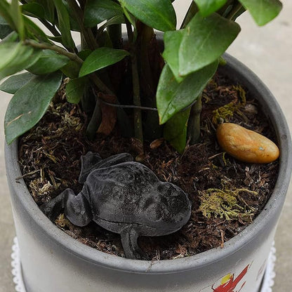 JUXYES Frog Cast Iron Key Hider - Outdoor Small Garden Statue & Indoor Decoration Box for Key, Jewelry & Trinkets