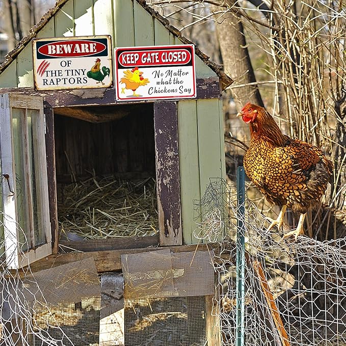 Beware of The Tiny Raptors Sign, Caution Tiny Raptors Sign, Chicken Sign, Chicken Coop Signs, 8 x 12 Inch Rust Free Aluminum Metal Chicken Decor, Reflective,Weather/Fade Resistant, Easy to Mount