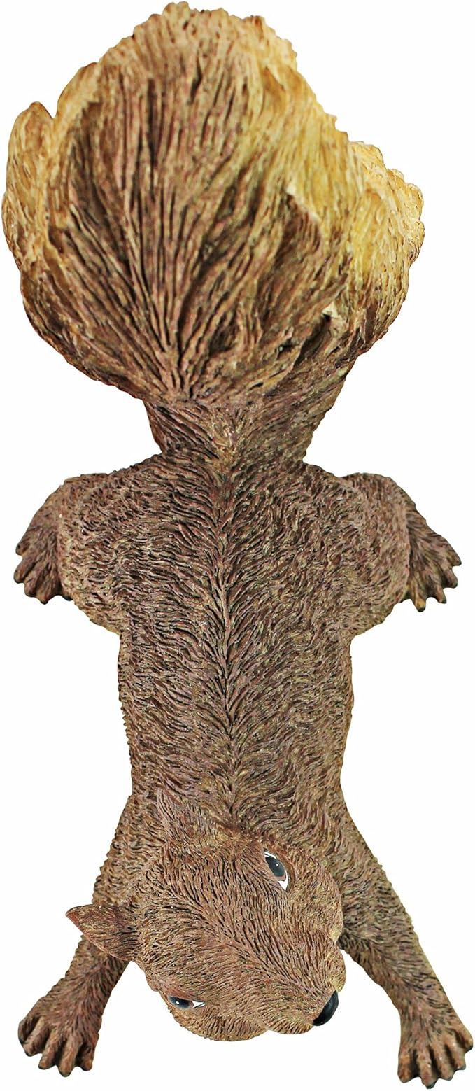 Design Toscano Simone, The Squirrel Hanging Sculpture