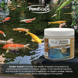 PondScape Sludge Assault Pond Cleaner – Pond Muck & Sludge Remover, Improves Water Clarity, Reduces Odors & Nitrates, Suitable for Koi, Fish & Aquatic Life – Treats 12,000 Gallons – 12 x 1oz Blocks