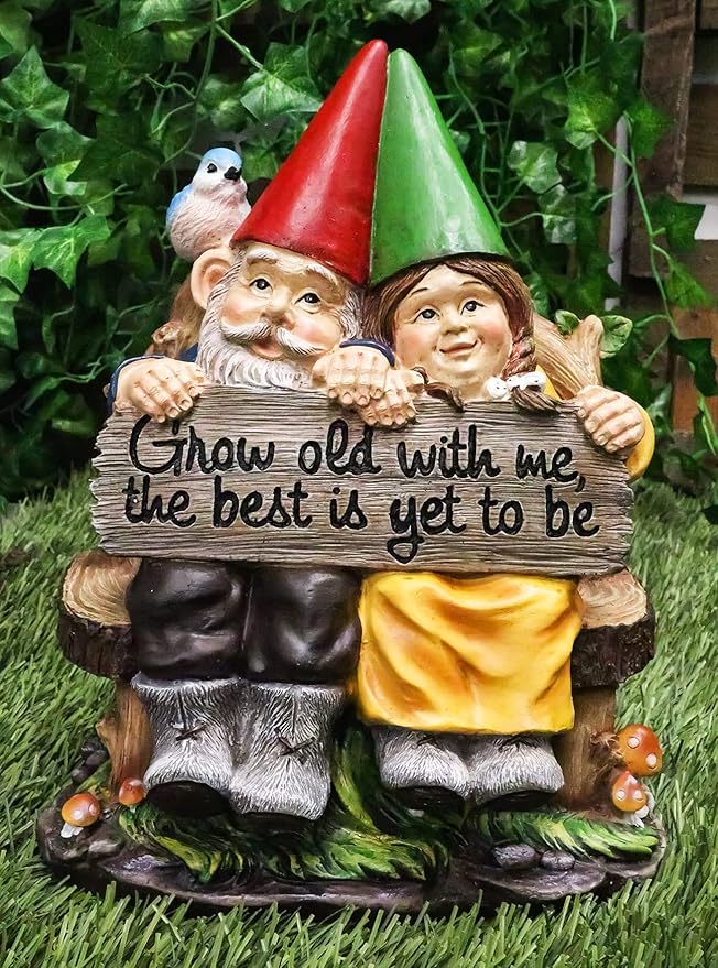 Ebros Grow Old with Me Mr and Mrs Gnome Statue 11" Tall for Patio Garden Lawn Home Decor Figurine (1)
