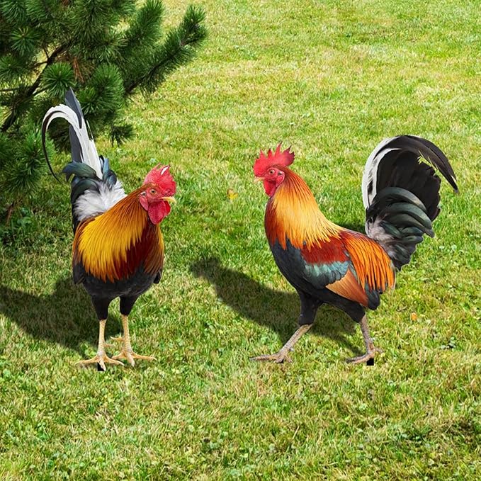 2 Pack Metal Rooster Yard Decor, Realistic Garden Stakes Chicken Yard Art Rooster Signs for Outside, Roosters Decorations for Garden Backyard Patio Lawn