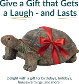 Sunnydaze Talia the Garden Turtle Statue - Turtle Garden Decor for Yard, Lawn, Patio Decor – 29" x 15" Durable Reinforced Glass Fiber - Gift Idea