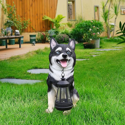 Husky Welcome Light with Solar Lantern & Double-Sided Sign, Sitting Black & White Husky Sculpture for Entry Shelf, Patio & Garden Edge