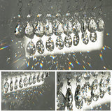 H&D HYALINE & DORA 3Inch Crystal Suncatcher Bauhinia Prisms Pendants 10Pcs Chandelier Crystals Replacement Hanging Sun Catcher Beads for DIY Arts Crafts Decor (Clear)