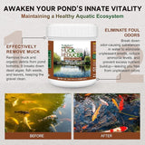 Dr. Raifya's Muck Reducer–Natural Pond Sludge & Water Fountain Clarifier, Beneficial Bacteria Safe for Fish & Wildlife, Remove Muck in Koi Ponds, Bird Baths, Fountains & Turtle Ponds, Easy to Use–1 LB