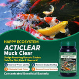 Muck Clear – Natural Pond Sludge Treatment, 250 Tablets for Ponds, Fountains & Bird Baths, Beneficial Bacteria & Enzymes, Chemical-Free & Safe for Fish, Pets & Wildlife