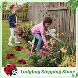 Hollowfly 10 Pcs Ladybugs Stones Decor for Outside Metal Ladybugs Art Lawn Ornaments 3 Size Lively Ladybug Holiday Yard Decorations Ladybug Gifts Mom Gifts Lady Bugs Yard Decorations