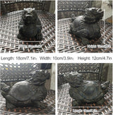 Mythical Animal Pond Spitter Fountain for Small Ponds– Ceramic Outdoor Water Feature with Pump & Hose – for Garden, Koi Pond, Patio, or Rockery Landscape Decor