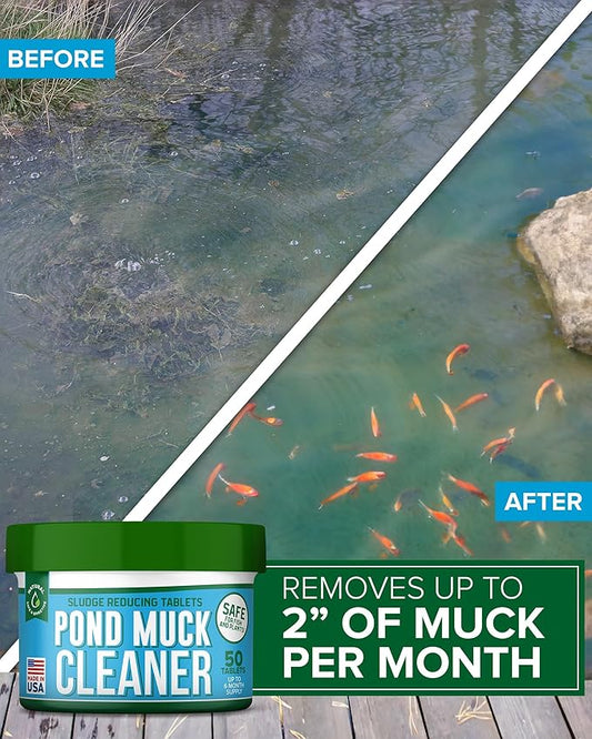Pond Clarity Solution | Fish Pond Clarity Solution | Sludge Dissolver for Fish Pond 600 Tablets