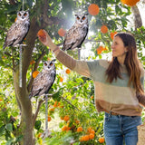 5 Pack Owl Scare Reflective Hanging Owl Decoration, Effective Animal Control Device to Scare Pigeons and Woodpeckers Away from Patio and Garden