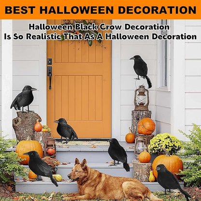 kemooie 6 Packs Real Feathered Halloween Black Crows, Handmade Realistic Crow with Real Feathers Raven Birds for Yard Tree Garden Patio Indoor Outdoor Halloween Decorations