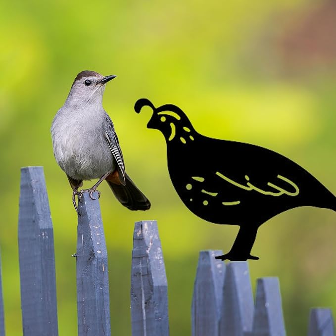 Metal Quail Lawn Art Ornament Stakes, Quail Figurine Yards Stake, Quails Statue Garden Ornaments, Quails Yard Ornaments, Metal Bird Outdoor Farm Decoration, Silhouette Statue Yard Stakes Decor (Quail)