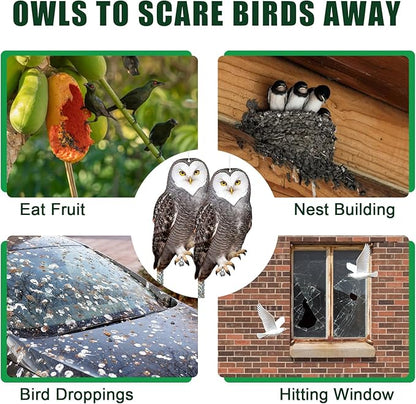 Owls to Keep Birds Away: 4Pcs Fake Owl with Reflective Tape for Orchard Garden Patio Pool, Reflective Hanging Decoration to Keep Birds Pigeon from Windows Tree Vineyard